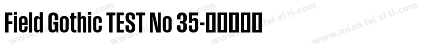 Field Gothic TEST No 35字体转换